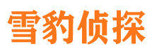 关岭外遇调查取证